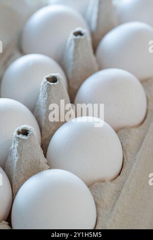 White eggs in a carton. cartons of fresh eggs are filled by egg dealer at the farm. Selective focus on a egg Stock Photo