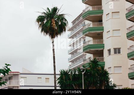 Single high palm tree grow near a modern apartment building with beige facade and green balconies on a tropical resort. Urban real estate. High rise. Stock Photo