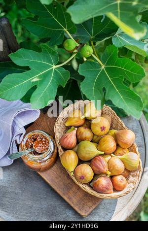 Glass jar with tasty sweet jam with fresh figs growing on the branch fig tree in organic home orchard. Stock Photo