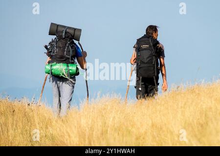 Two Men Male People Walk Away Rear View Back with wooden sticks Hiking Hikers on Trip Czech Republic Grassy Meadow Stock Photo