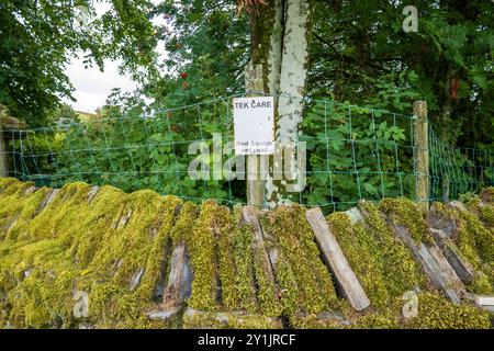 Tek Care Red Squigs ont Road,. Take care, red squirrels on the road.  A warning sign in Gayle, Wensleydale, Yorkshire Dales National Park Stock Photo