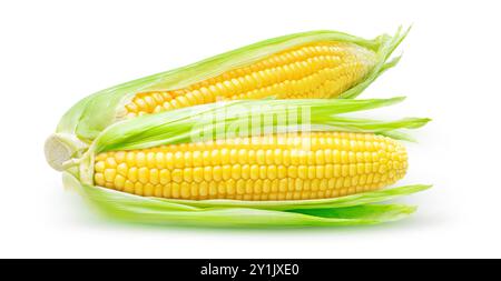 Two yellow corn cobs with leaves isolated on white background Stock Photo