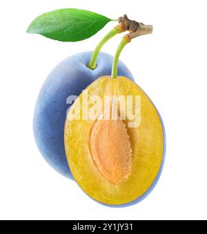 Whole and halved blue plum fruit hanging isolated on white background Stock Photo