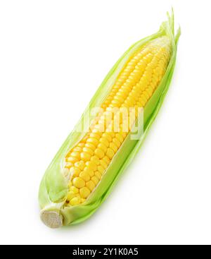 One raw corn cob isolated on white Stock Photo
