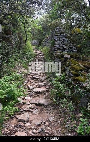 Forest Path, Stony Track or Footpath through the Forest near Bonnieux Luberon Regional Park Vaucluse Provence France Stock Photo