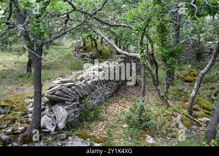 Dry Stone Wall in the Forest near Bonnieux Luberon Provence France Stock Photo