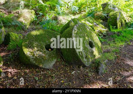 A pair of moss-covered millstones in a lush forest setting. Peak District National Park UK. Stock Photo