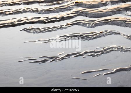 ripple marks at low tide on a sandy beach on the Channel, Manche, France Stock Photo