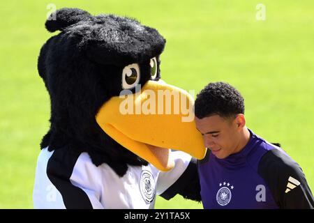 Duesseldorf, Germany. 08th Sep, 2024. Soccer: National team, Nations League, after the game against Hungary and before the game in the Netherlands, public training at the Paul Janes Stadium, Germany's Jamal Musiala stands together with the DFB mascot 'Paule' during the public training. Credit: Federico Gambarini/dpa - IMPORTANT NOTE: In accordance with the regulations of the DFL German Football League and the DFB German Football Association, it is prohibited to utilize or have utilized photographs taken in the stadium and/or of the match in the form of sequential imag/dpa/Alamy Live News Stock Photo