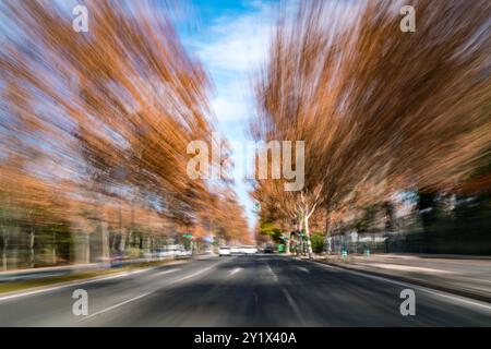 Blurred motion perspective of autumn trees and streets in Sevilla, Spain, captured from a moving car. Vibrant colors and dynamic movement create a sen Stock Photo