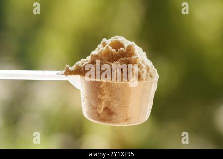 Whey protein powder in a measuring scoop against green bokeh Stock Photo