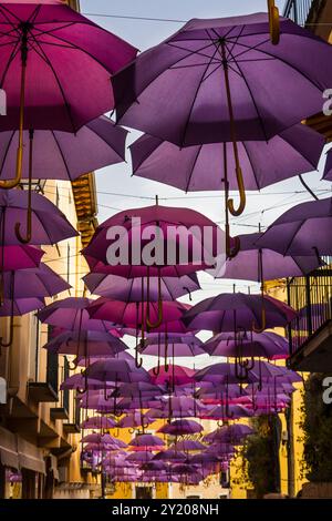Umbrellas on the streets Stock Photo
