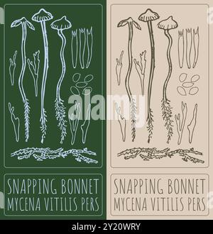 Snapping Bonnet Vector illustration brown hand snapping fingers Stock Vector Image ...