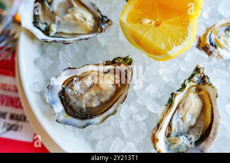Freshly Opened Oysters on a Bed of Ice with a Lemon Wedge for an Inviting Seafood Experience Stock Photo