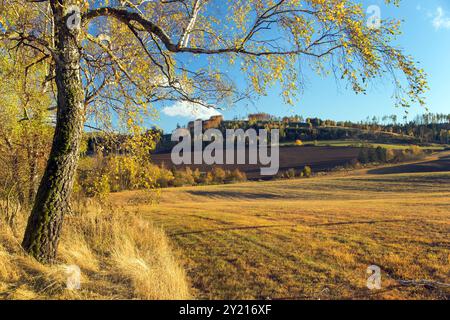 Autumn landscape with birch tree and agricultural field and beautiful sky Stock Photo