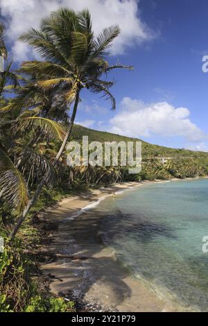 Tropical beach on Bequia Island, St. Vincent in the Caribbean Stock Photo