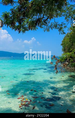 The trees and turquoise waters around Coral island, Phuket, Thailand. Blue sky with copy space for text Stock Photo