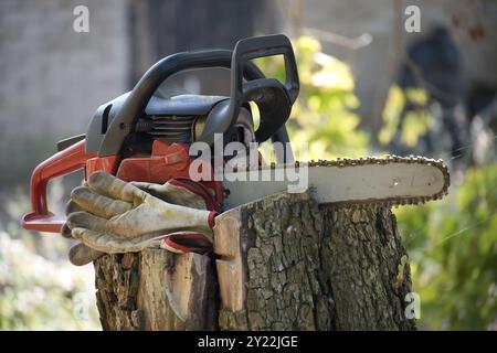 Close-up of a chainsaw and gloves on a tree stump in a garden, symbolizing woodworking tools and safety for outdoor landscaping tasks. Stock Photo