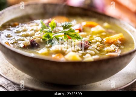 Soup made from barley groats, smoked pork neck, potatoes and root vegetables. Stock Photo