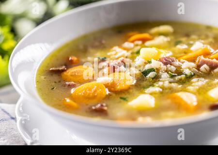 Soup made from barley groats, smoked pork neck, potatoes and root vegetables. Stock Photo