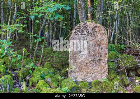 Boundary stone in a forest for government land Stock Photo