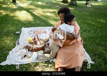 High angle shot of African American family hugging while having picnic in green park during summer Stock Photo