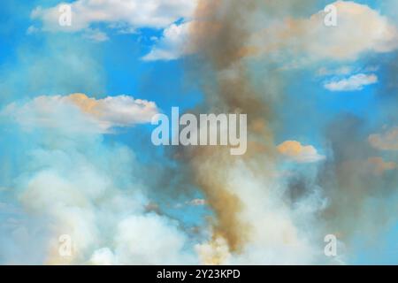 Smoke cloud after wildfire in meadow, selective focus Stock Photo