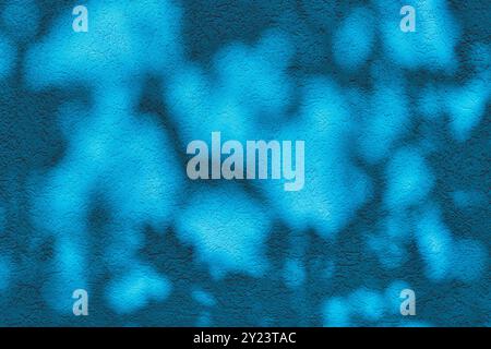 Plant nature shadow reflection with sunlight against cement concrete textured blue wall wallpaper background Stock Photo