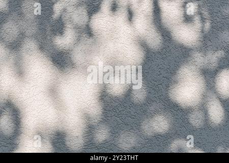 Plant nature shadow reflection with sunlight against cement concrete textured gray wall wallpaper background Stock Photo