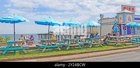Wooden painted blue picnic tables & bench seats on grass lawn outside refurbished colourful entrance to Teignmouth Victorian Pier Devon England UK Stock Photo