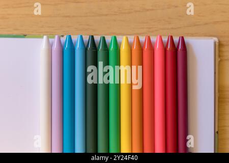 Colorful markers lined up neatly on a notebook on a wooden desk Stock Photo