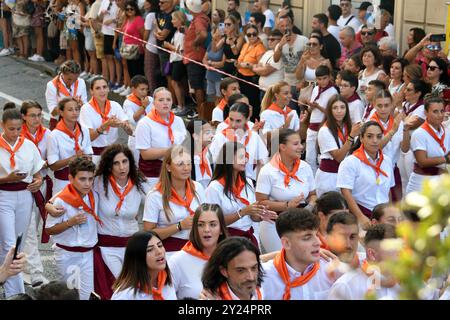 Palmi Reggio Calabria 25 aug 2024 - Varia di Palmi, cowherds corporations Stock Photo