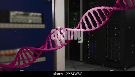 Image of pink dna strand rotating over computer server room Stock Photo