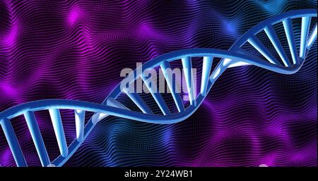 DNA strand over vibrant, wavy purple and blue image background Stock Photo