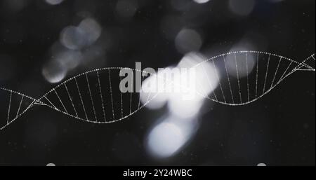 DNA strand and binary coding, scientific data processing Stock Photo