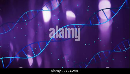 DNA strands and particles over purple background, scientific image Stock Photo