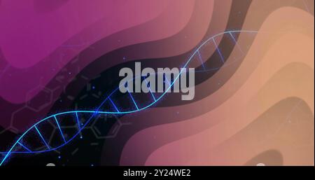 DNA strand image over abstract colorful waves and molecular structures Stock Photo