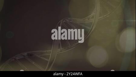 DNA strand image over dark background with light bokeh effects Stock Photo