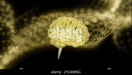 Image of digital brain spinning over yellow spots Stock Photo