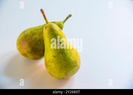 Two pears. Still life. Stock Photo