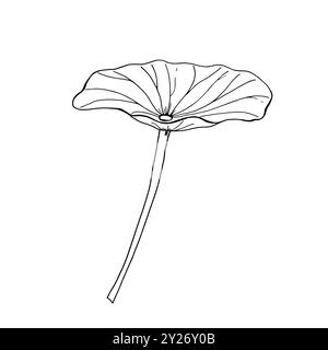 Waterlily leaf monochrome vector isolated illustration on white background. Lotus leaf hand drawn painted by black inks. Tropical plant element Stock Vector