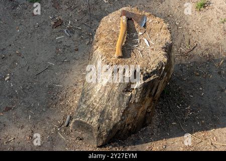 The ax lies on the stump Stock Photo