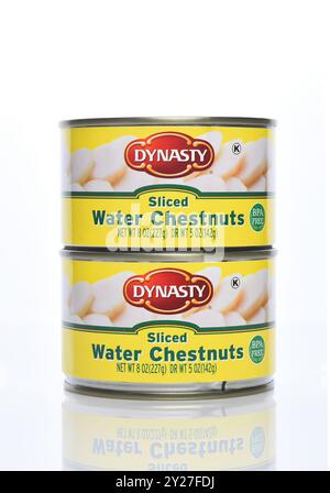 IRVINE, CALIFORNIA - 6 SEPT 2024: Two cans of Dynasty Water Chestnuts. Stock Photo