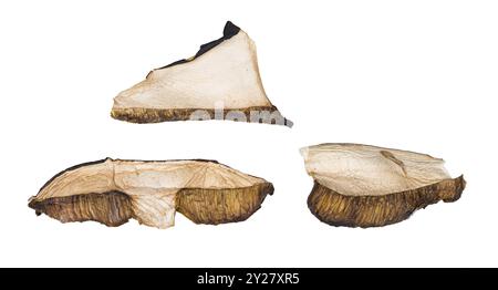 Closeup of three pieces of dried sliced boletes isolated on a white background. Homemade preserved organic vegetarian cooking ingredient. Healthy food. Stock Photo