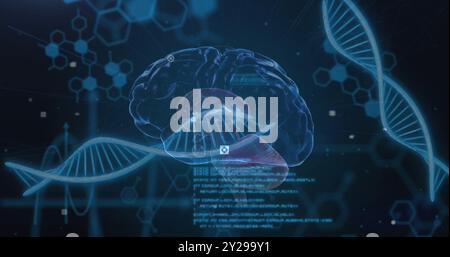 Image of scientific data processing over human brain and dna strands on dark background Stock Photo