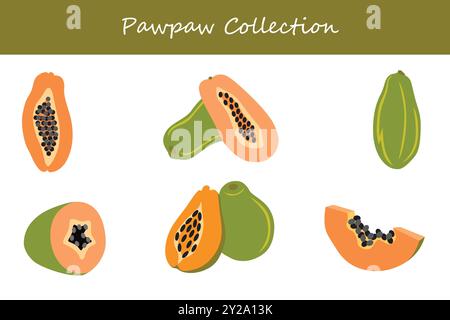 pawpaw collection in different poses. Vector illustration. Stock Vector