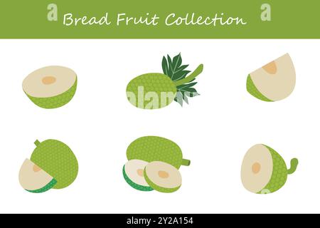 bread fruit collection in different poses. Vector illustration. Stock Vector