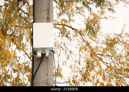 Telecommunication Equipment Installed on a Utility Pole, Beautifully Surrounded by Nature Stock Photo