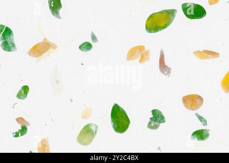 Striped flowers on Mulberry paper texture as background Stock Photo