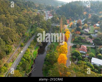 Aerial view of a small country town alongside a river with golden autumn trees at Warburton in the Yarra Valley of Victoria, Australia. Stock Photo